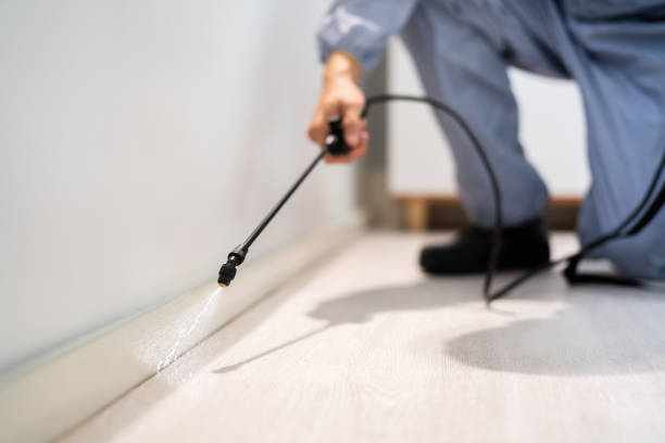 Licensed Rodent Control service in Cook County County, IL - Nex Pest Control